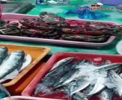 Seafood Market in Pangasinan Philippines!! Amazing, rare, exotic fish I&#39;ve never seen before!! MB Kitchenette is buying some seafood for a new recipe&#60;br/&#62;&#60;br/&#62;#fishmarket #philippines #exotic #rare #amazing #aplacetogo&#60;br/&#62;&#60;br/&#62;&#60;br/&#62;❤️ Friends, if you liked the video, you can help the channel:&#60;br/&#62;&#60;br/&#62; Share this video with your friends on social networks. Subscribe to our channel, click the bell!Rate the video!- for us it is pleasant and important for the development of the channel!Subscribe to the channel:&#60;br/&#62;&#60;br/&#62; / @mbkitchenette&#60;br/&#62;&#60;br/&#62;Join this channel to get access to perks:&#60;br/&#62;https://www.youtube.com/channel/UCmTn020AbnNhq7gc4E_X-DQ/join&#60;br/&#62;&#60;br/&#62;❤️If you like the video,&#60;br/&#62;&#60;br/&#62;To watch our recipe videos visit here:https://bit.ly/3SafwuE&#60;br/&#62;&#60;br/&#62;Join this channel to get access to perks:&#60;br/&#62;https://www.youtube.com/channel/UCmTn020AbnNhq7gc4E_X-DQ/join