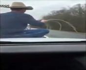 Animal running down Tennessee highway caught