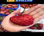 fruits, fruit, exotic fruits, rare fruits, different fruits, unique fruits, guess the fruit, weird fruits, unusual fruits, fruits for kids, tropical fruits, fruit salad, tropical fruit, national fruits from different countries, best fruits