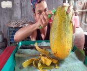 Enjoy delicious ripe papaya with me from papaya live