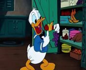 Donald Duck Trick or Treat Disney toon from babhi toon