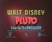 Pluto at the Zoo (1942) Disney Toon from toon barbe