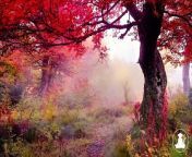 30 MinutesRelaxing Meditation Music • Inspiring Music, Sleepand calm anxiety (Red leaves) @432Hz from 30 60 minutes ka xxx video mp4
