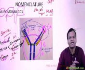 Monoclonal antibodies \ \anti cancer and IMG pharmacology from img 24 pimpandhost com im