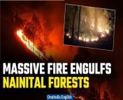 The forest department in Nainital has called for the assistance of the Indian Air Force and the Indian Army to combat a relentless forest fire that has been raging for over 36 hours, consuming numerous hectares of lush greenery. Helicopters have been deployed by the district administration to aid in firefighting efforts. Uttarakhand Chief Minister Pushkar Singh Dhami has announced plans to convene a meeting to address the escalating situation of the Nainital forest fire in Haldwani district. &#60;br/&#62; &#60;br/&#62;#NainitalForestFire #NainitalForestFireVideo #ForestFireNainital #IAFStation #ArmyAssistance #HelicopterSupport #BoatingHalted #UttarakhandForests #ForestFireAlert #PushkarSinghDhami #EmergencyResponse #FirefightingEfforts&#60;br/&#62;~PR.152~ED.194~GR.122~