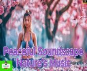 Healing Harmony: Music to Restore Heart, Nerves, and Soul - Live Relaxing Broadcast Calming Music, Stress Relief, Anxiety Relief, ;Relaxation And Meditation Music, ;;;Step into the healing embrace of &#92;