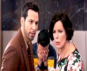 Check out the official An Egregious Error&#39; clip from Season 2 Episode 7 of the hit CBS comedy-drama series So Help Me Todd. Join stars Marcia Gay Harden, Skylar Astin and more as they navigate the twists and turns in this upcoming episode. Don&#39;t miss out – stream So Help Me Todd Season 2 now on Paramount+!&#60;br/&#62;&#60;br/&#62;So Help Me Todd Cast:&#60;br/&#62;&#60;br/&#62;Marcia Gay Harden, Skylar Astin, Madeline Wise, Inga Schlingmann, Andrea Brooks and Tristen J. Winger&#60;br/&#62;&#60;br/&#62;Stream So Help Me Todd Season 2 now on Paramount+!