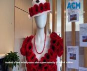 Gillin Park Community red poppy dress | Warrnambool Staqndard 2024 from collage dress sax