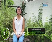 Aired (April 26, 2024): Get to know Raizel Pauline Albano, an anthropologist and cultural expert who created an audio walking tour guide for some famous local tourist spots.&#60;br/&#62;&#60;br/&#62;Join Kapuso Primetime King Dingdong Dantes as he showcases the unseen beauty of planet earth in GMA&#39;s newest infotainment program, &#39;Amazing Earth.&#39; Catch its episodes every Friday at 9:35 PM on GMA Network. #AmazingEarthGMA #AmazingEarthYear5