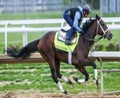 Kentucky Derby 150th Anniversary Boosts Churchill Downs from big boost