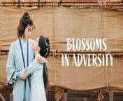 Blossoms in Adversity - Episode 38 (EngSub)