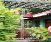 Experience the true beauty and charm of Kerala at Anamala Homestay&#60;br/&#62;&#60;br/&#62;Book your stay at this blissful homestay near Thrissur in Kerala for a truly unforgettable experience.