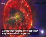 What do you get when a star crosses the Milky Way at about 560,000 miles per hour? Apparently, a supernova survivor.