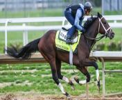 Kentucky Derby Odds: Horses to Watch in the Upcoming Race from racing model song jooa