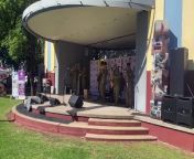 The Kapooka Australian Army Band entertained the crowds for the Festival on Mountford on March 30