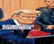 A recent courtroom sketch capturing former U.S. president Donald Trump has taken the internet by storm.&#60;br/&#62;#Trump is currently facing 34 felony charges over falsified business records linked to payments made to an adult-film actress before the 2016 election.&#60;br/&#62;In the artwork captured by court sketcher Jane Rosenberg, it is the former U.S. President&#39;s grin which has attracted the most attention and the internet seems to agree.&#60;br/&#62;#newyork #donaldtrumpmeme #trumpmeme #meme