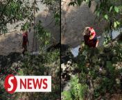 Search and rescue operations to locate the still missing Indonesian mother and daughter that had fallen into a monsoon drain in Kota Perdana, Selangor resumed on Monday (April 1). &#60;br/&#62;&#60;br/&#62;Selangor Fire and Rescue Department director Wan Md Razali Wan Ismail, said two teams have been dispatched to the scene.&#60;br/&#62;&#60;br/&#62;Read more https://tinyurl.com/4xbwe56t &#60;br/&#62;&#60;br/&#62;WATCH MORE: https://thestartv.com/c/news&#60;br/&#62;SUBSCRIBE: https://cutt.ly/TheStar&#60;br/&#62;LIKE: https://fb.com/TheStarOnline&#60;br/&#62;